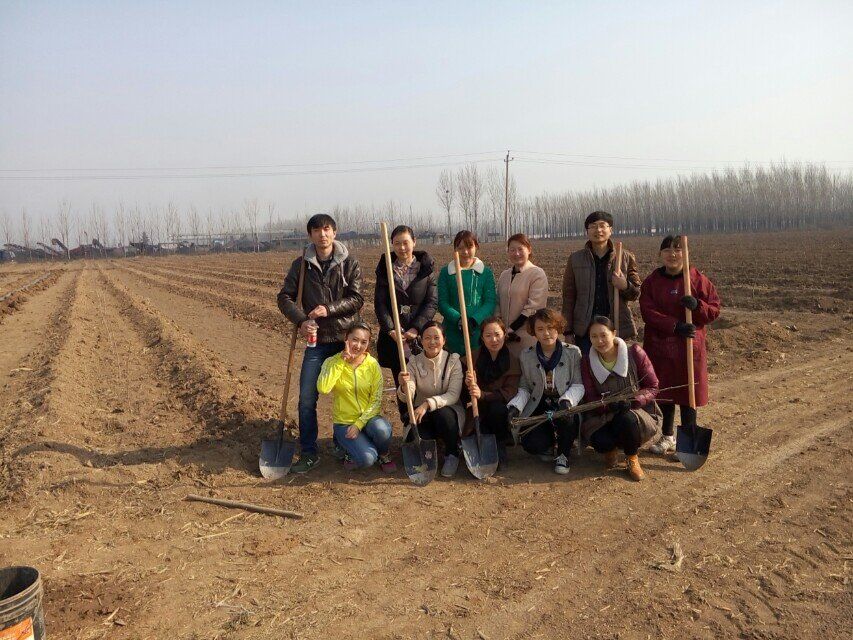 博農(nóng)集團領導、基層黨政負責人等同志積極參加植樹活動